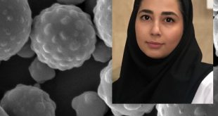 دستاورد محققان ایرانی در ترمیم استخوان‌ با هیدروژل نانویی تولیدی از پیله کرم ابریشم